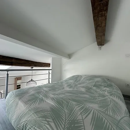 Duplex En Centre-ville Proche Du Puy-du-fouu Apartamento