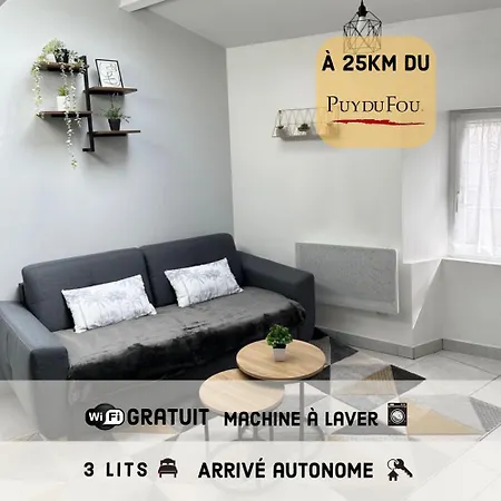 Duplex En Centre-ville Proche Du Puy-du-fouu דירה שולה
