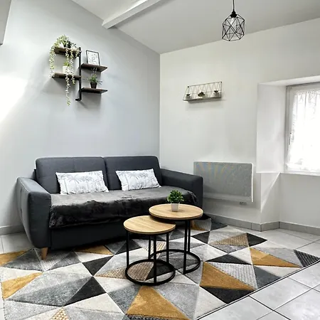 דירה Duplex En Centre-ville Proche Du Puy-du-fouu *