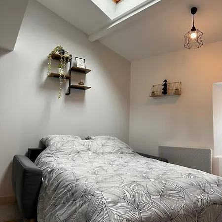 Duplex En Centre-ville Proche Du Puy-du-fouu דירה *