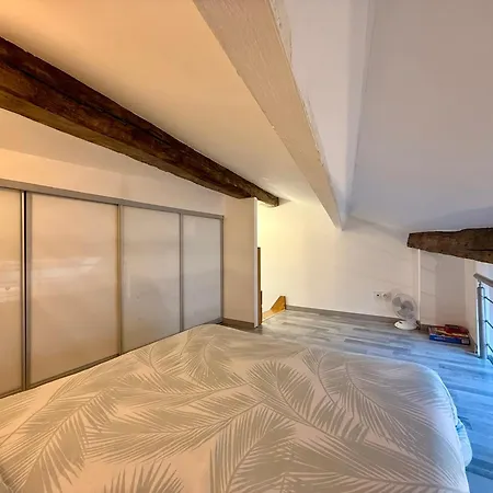 Duplex En Centre-ville Proche Du Puy-du-fouu شقة