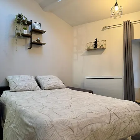 公寓 Duplex En Centre-ville Proche Du Puy-du-fouu 绍莱