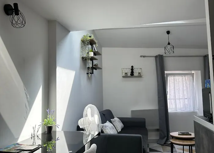 Duplex En Centre-ville Proche Du Puy-du-fouu Apartment *