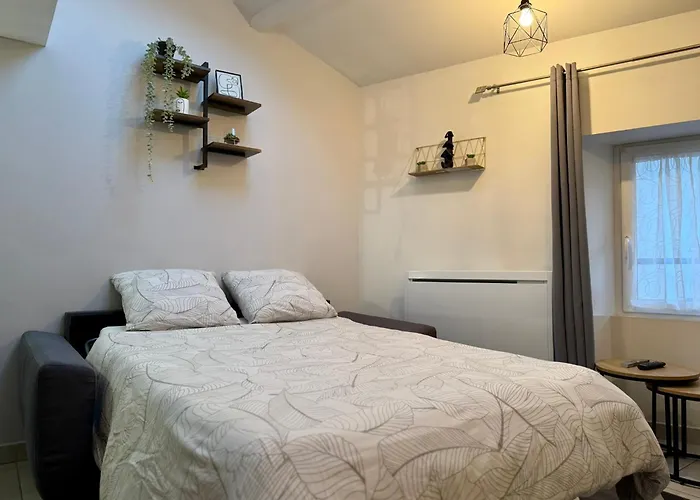 Apartment Duplex En Centre-ville Proche Du Puy-du-fouu Cholet