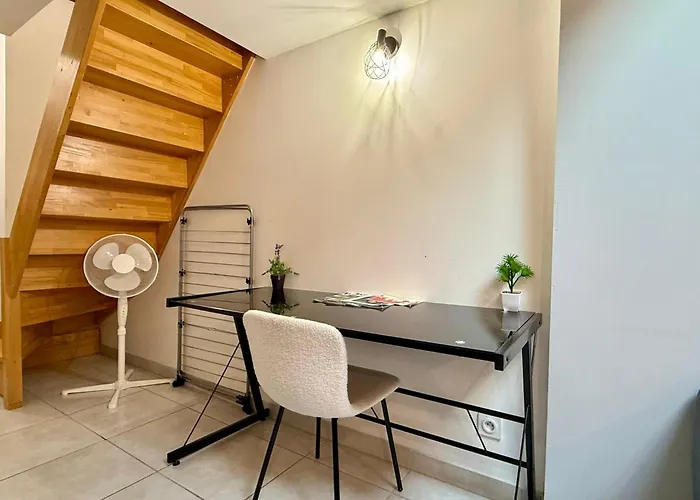 Duplex En Centre-ville Proche Du Puy-du-fouu Apartment Cholet