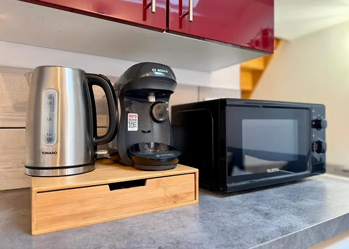 Apartment Duplex En Centre-ville Proche Du Puy-du-fouu *