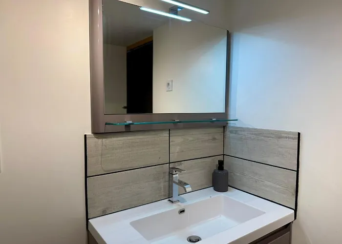 Duplex En Centre-ville Proche Du Puy-du-fouu *