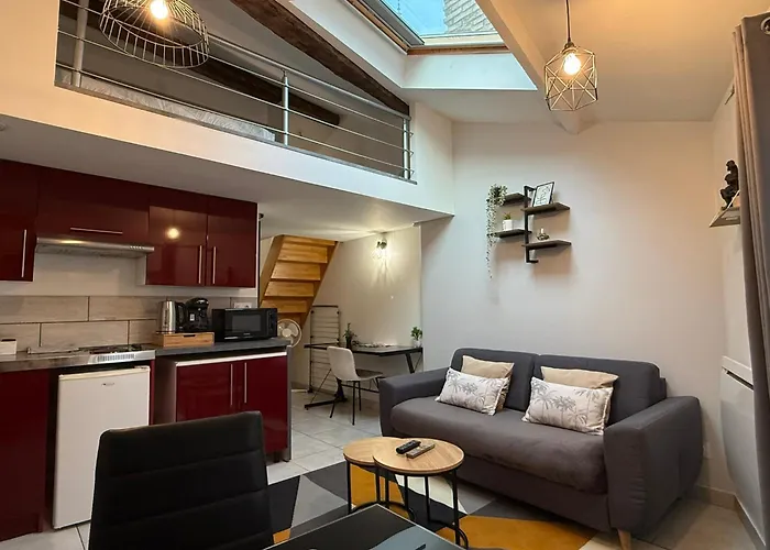 Duplex En Centre-ville Proche Du Puy-du-fouu