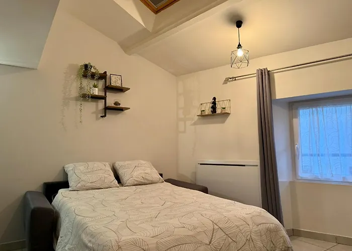 公寓 Duplex En Centre-ville Proche Du Puy-du-fouu *