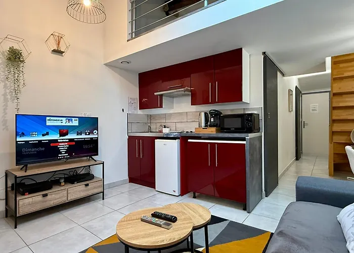 Duplex En Centre-ville Proche Du Puy-du-fouu 公寓 *